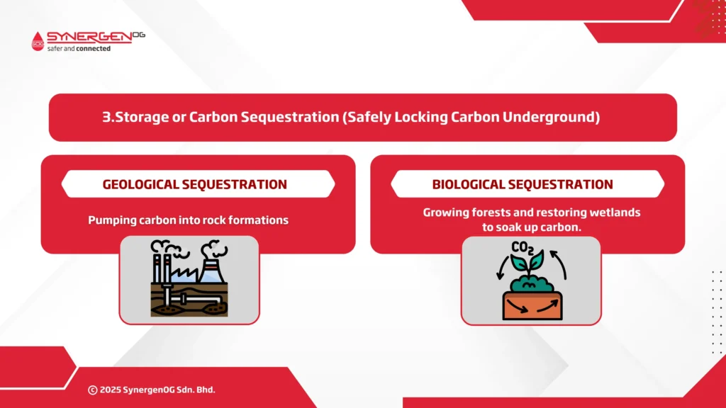 carbon sequestration